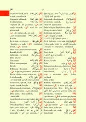 Arapça/Türkçe - Türkçe/Arapça Sözlük