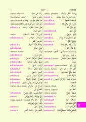 Arapça/Türkçe - Türkçe/Arapça Sözlük